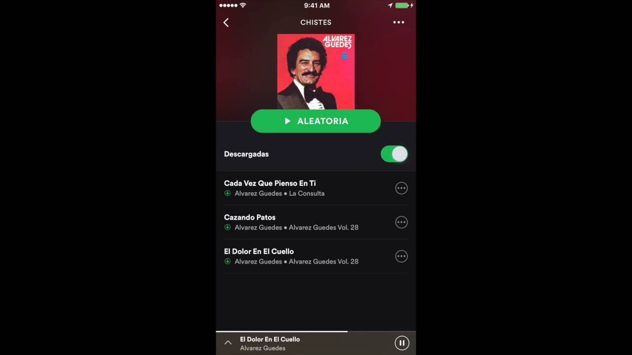 Spotify Iphone tutorial Playlist