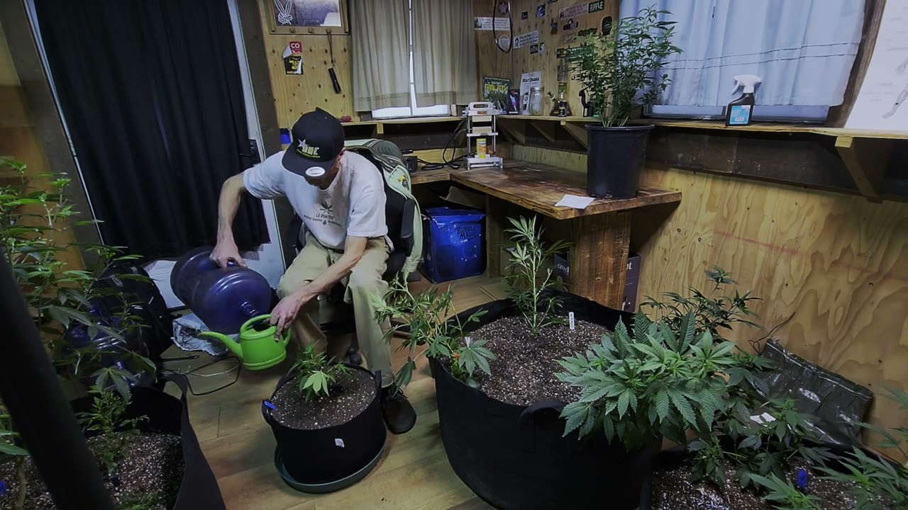 Detroit Nutrient Company Water Only Living Soil