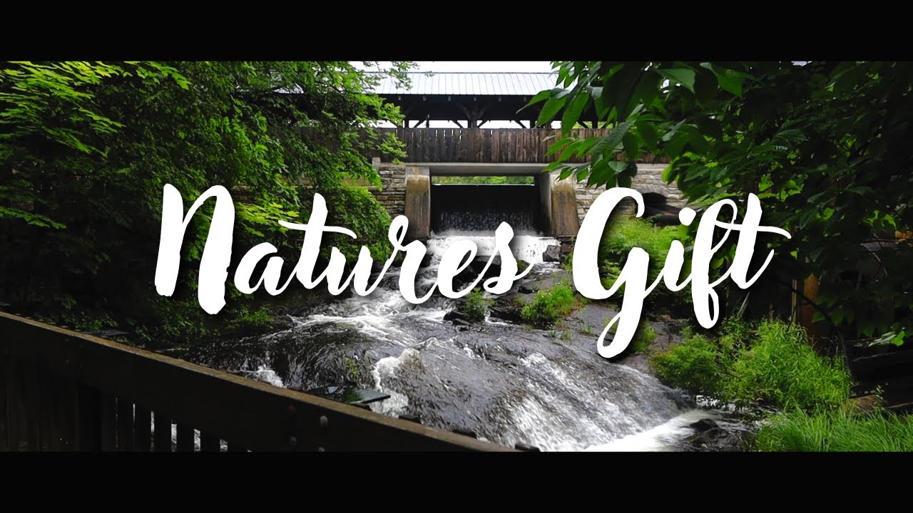 Natures Gift | Cinematic Video | Canon EOS RP