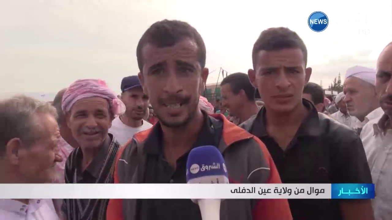 عين الدفلى: سقوط حر لأسعار الأضاحي قبل ساعات من أول أيام النحر
