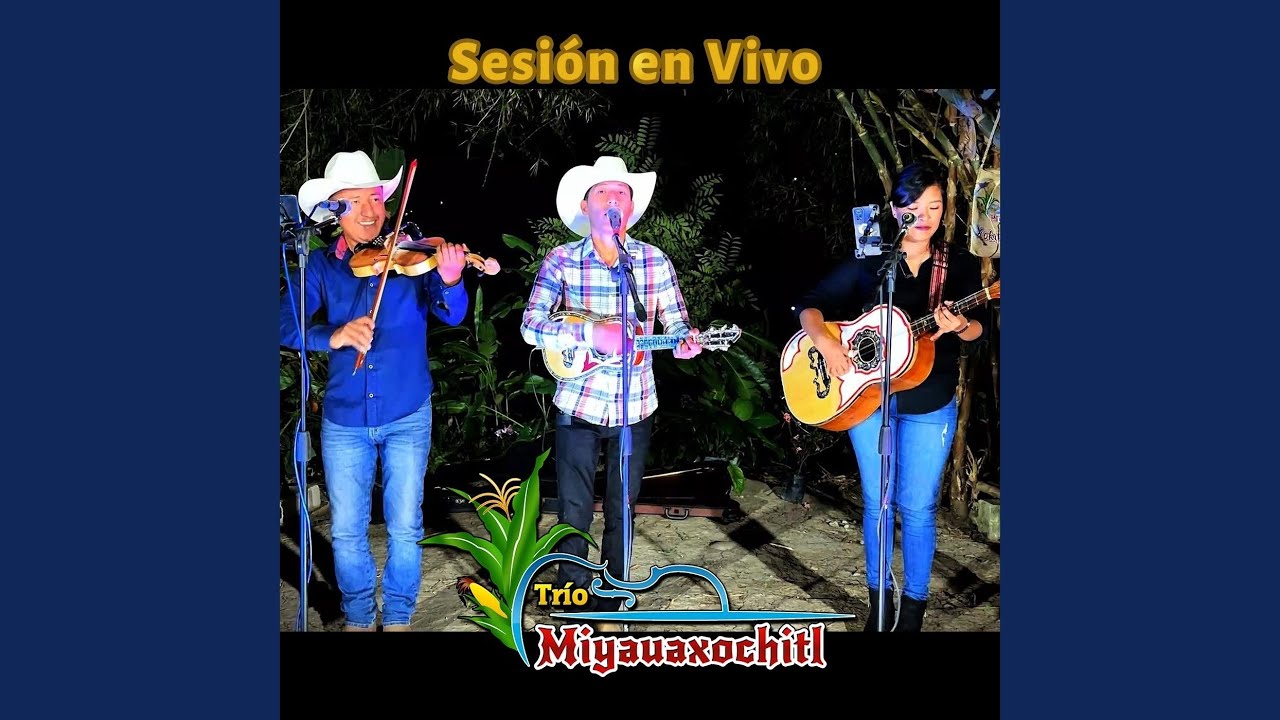 Flor de Campo (En Vivo)
