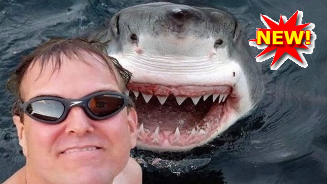 Most Awesome Selfies Of All Time - Video HD 2017
