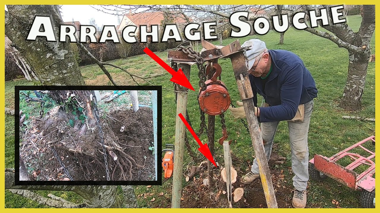 Arrachage de souches avec Palan et Etais #2