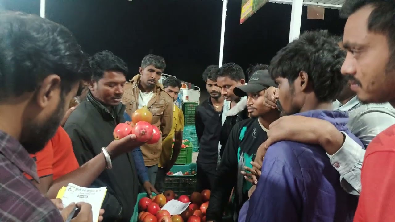 आज ता: 23/02/2026 फ्रुटली अनार मंडी, जीवाणा आज का भाव जानने के लिये व्हिडिओ अनंत तक देखे.