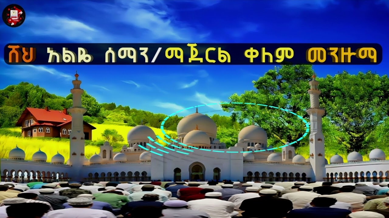 #ሽህ አልዬ ሰማን/ ማጀርል ቀለም መንዙማ #shah Aliya seman