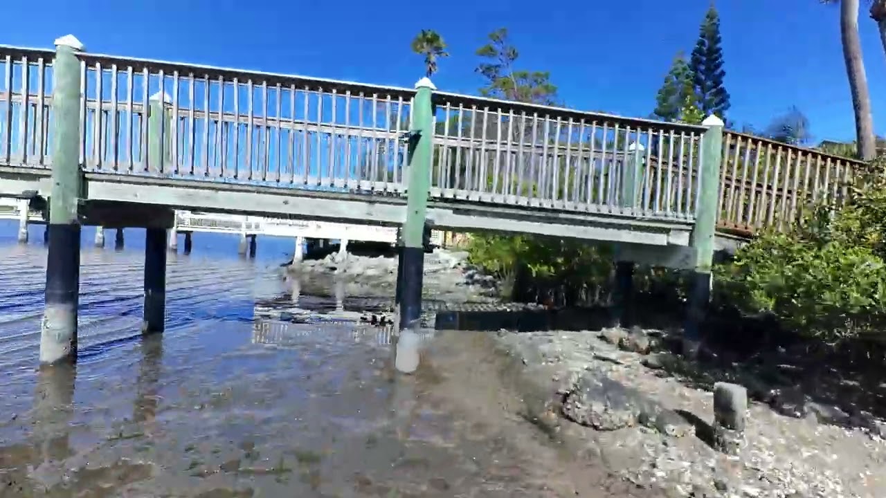 I spotted some raccoons running the shoreline while flying the Pavo20 Pro II