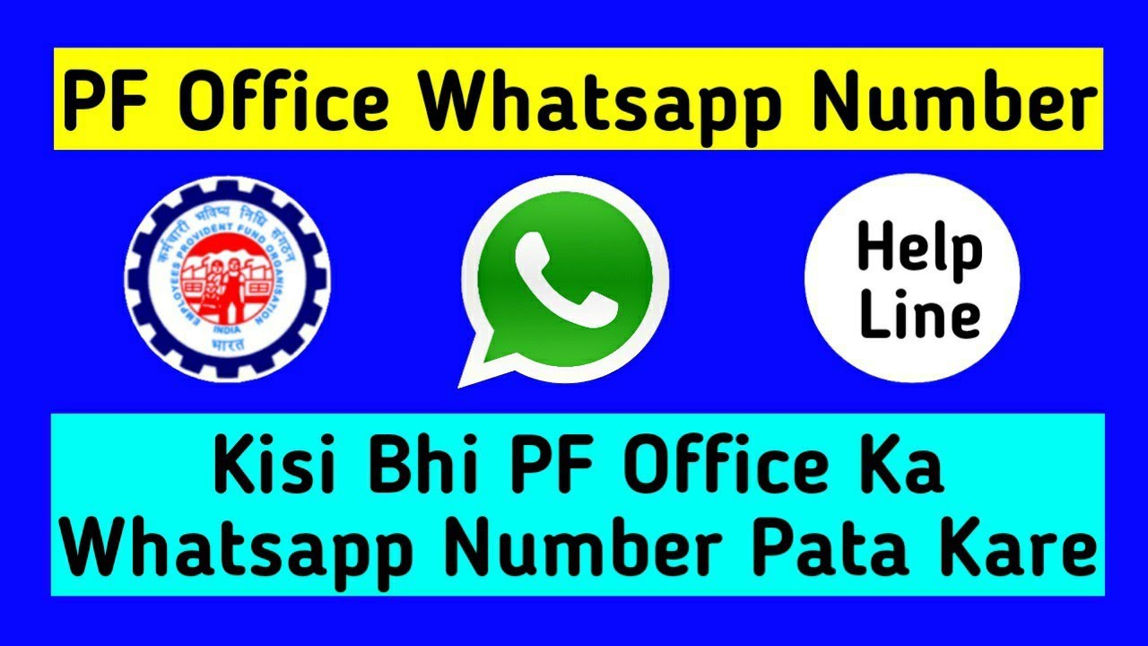 pf office whatsapp number kaise pata kare pf office contact number pf whatsapp helpline number