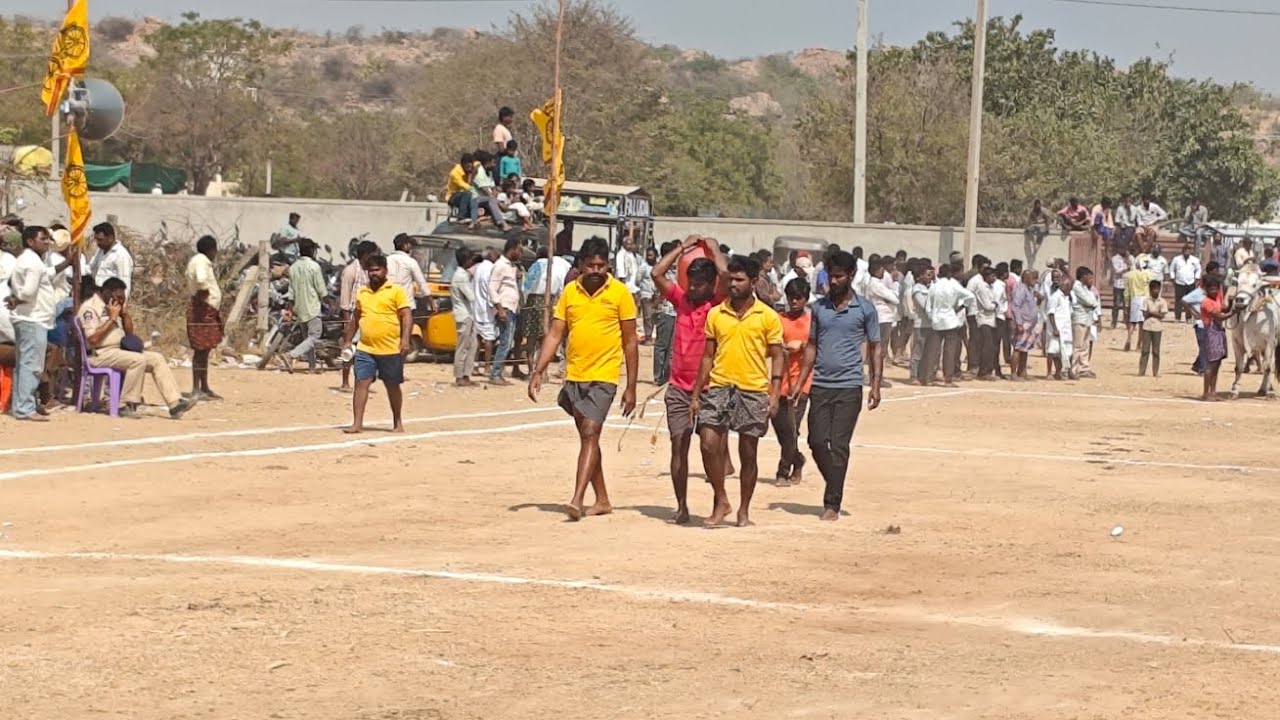 కాల్వబుగ్గ న్యూ క్యాటగిరి విభాగం 2 వ జత బుల్స్