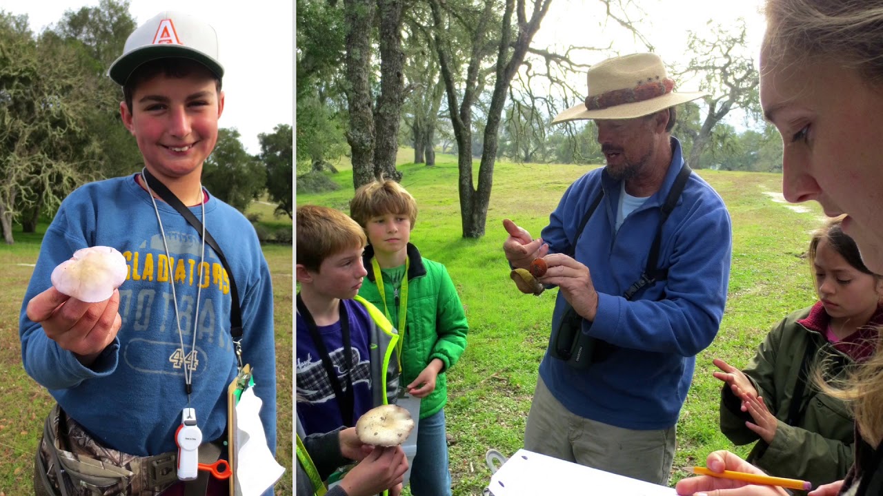 LATO Oak Ambassador Fungi Hike Memory