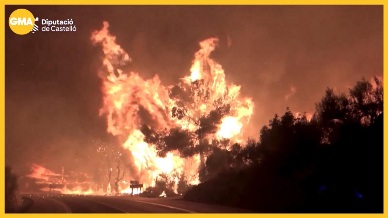 Hundreds of thousands flee as wildfires close in on French city