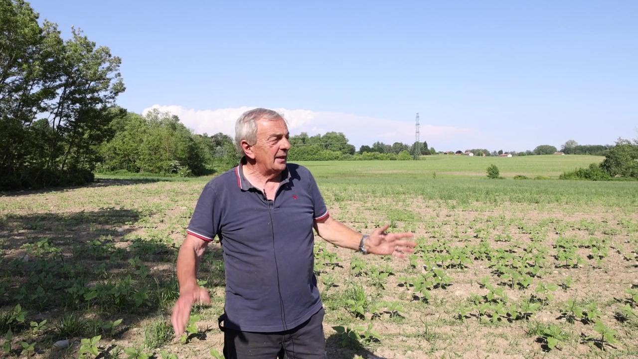Gli abitanti di Agrate contro i fanghi nei campi: 