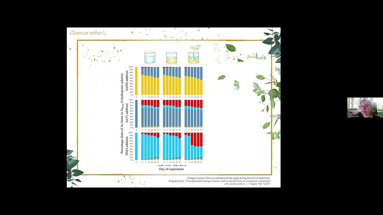 How much arsenic can trees accumulate?