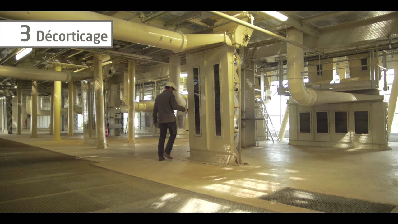 Décorticage du tournesol et chaudière biomasse chez Saipol à Bassens