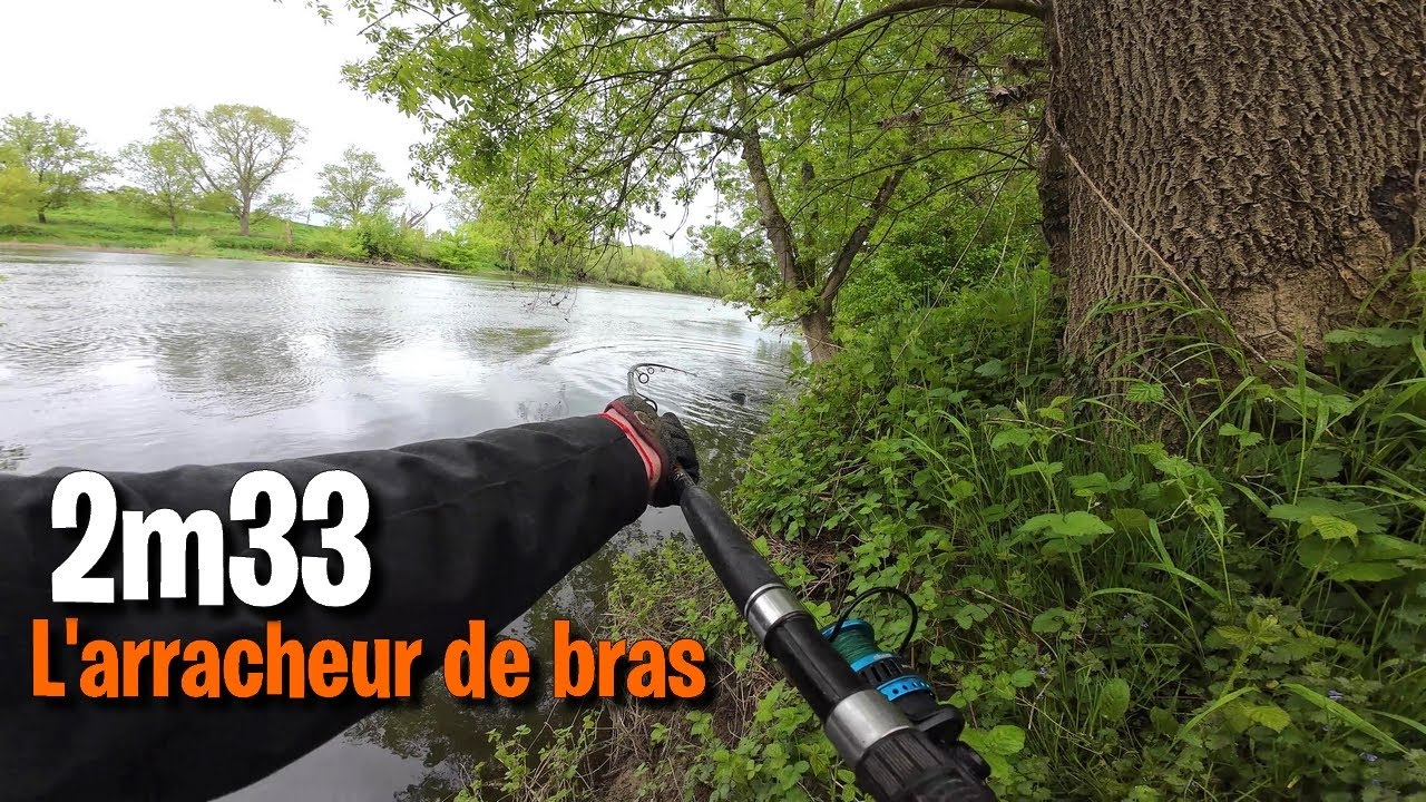Pêche SILURE 2m33 du BORD : Touche en 30 secondes CHRONO !