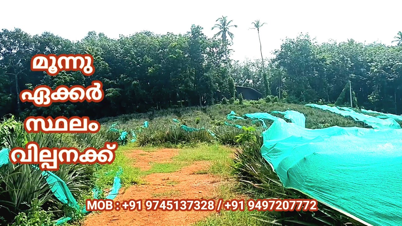 3 ഏക്കർ സ്ഥലം വില്പനക്ക്‌    LAND SALE I 24 KERALA  PROPERTIES I 544