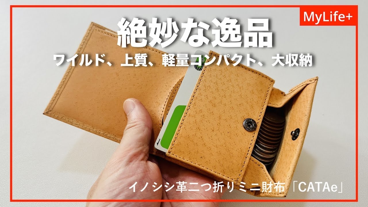 【レビュー】CATAe　イノシシ革二つ折りミニ財布　ワイルド＆上質、小さく薄いのに大収納、考え抜かれた設計で使いやすさも実現した絶妙な逸品