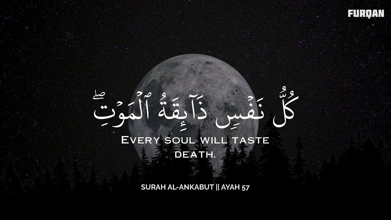 أرح سمعك.. تلاوة هادئة تريح القلب والعقل🩵😴 | ساعة كاملة🕛🎧 القارئ محمد هشام | Mohamed Hesham