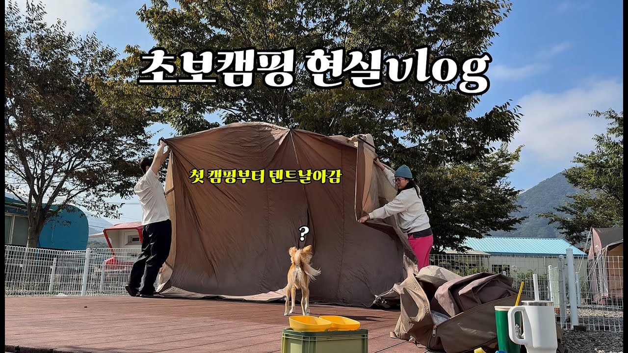 초보캠핑 커플 브이로그? 현실은..(애견동반캠핑장) with.강보리