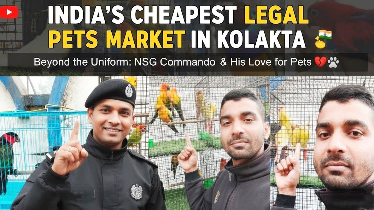 🇮🇳 India’s Cheapest LEGAL Pet Market 🐦 | Beyond Uniform – NSG Love For Pets ❤️ | #trending #viral