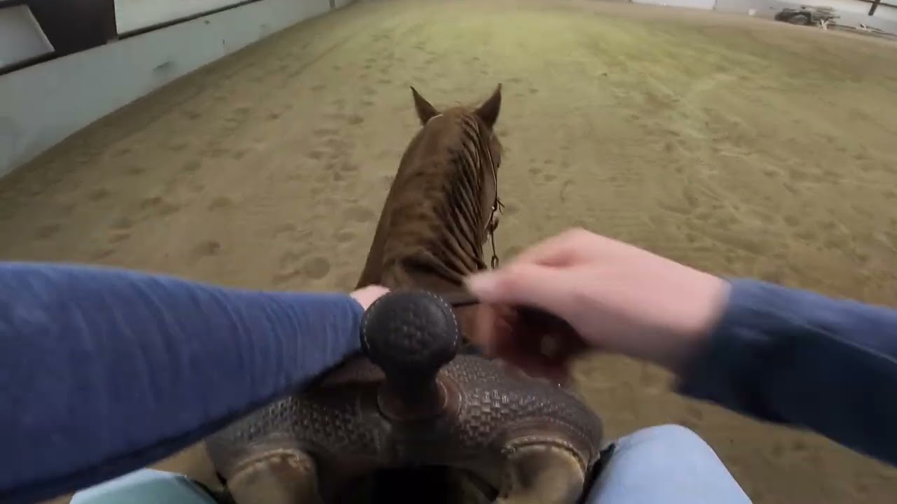 Riding POV: Lesson Edition- Ranch Riding Transitions and Lead Changes