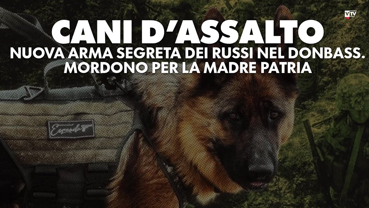 Cani d’assalto: nuova arma segreta dei russi nel Donbass. Mordono per la Madre Patria