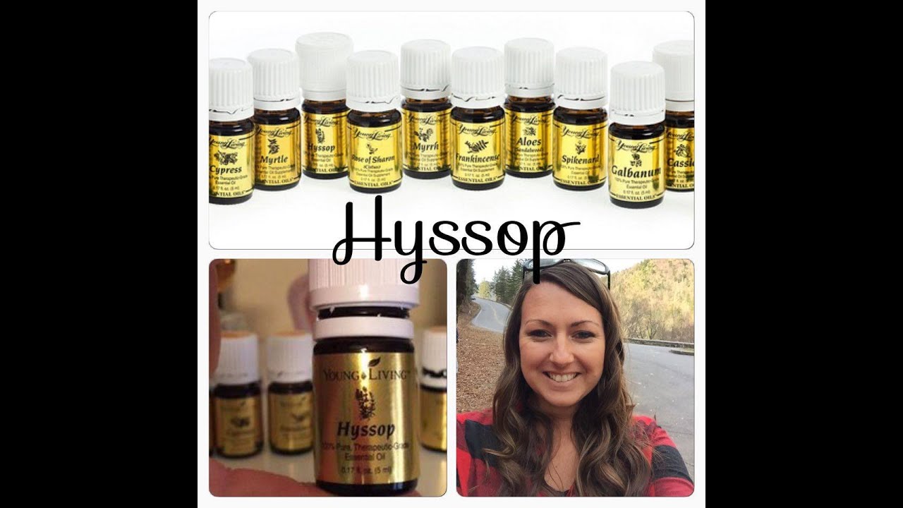 Hyssop - Ancient Oils of Scripture - Young Living - Elizabeth Medero