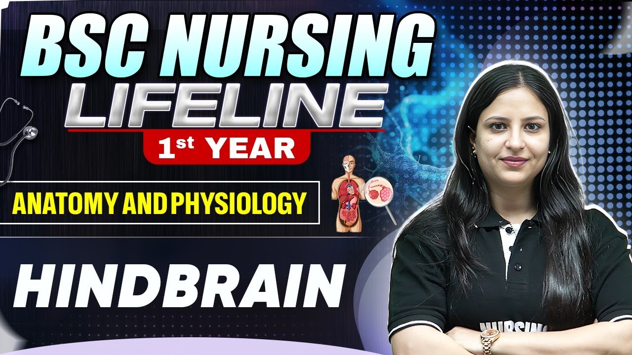 Hindbrain Bsc Nursing 1st year | Nursing LifeLine Series #bscnursing #nursing #bscnursing