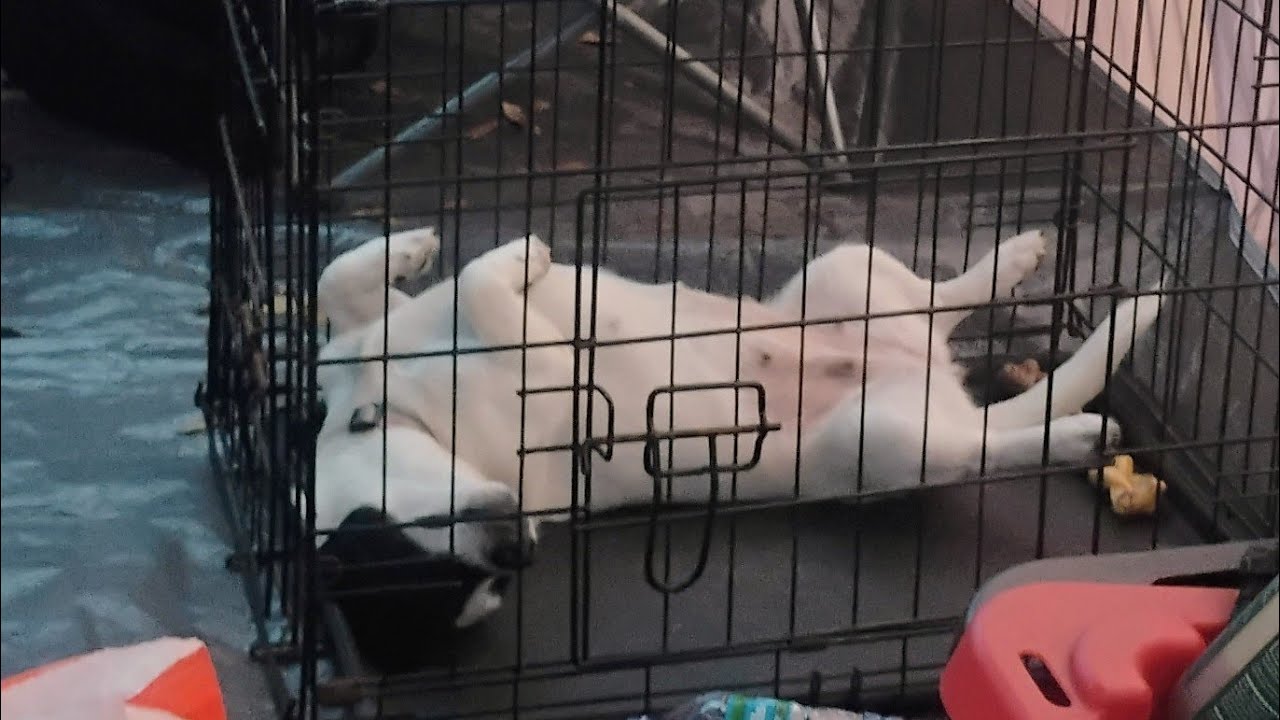 Homeless Stream: Chill Saturday