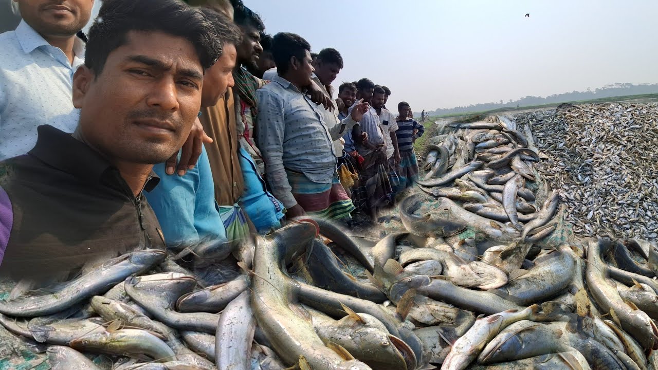 পানির দামে বিক্রি হচ্ছে নাম্পা বিলেরএর বড় বড় বায়াল টেংরা ওবিভিন্ন প্রজাতির মাছ 26 February 2026