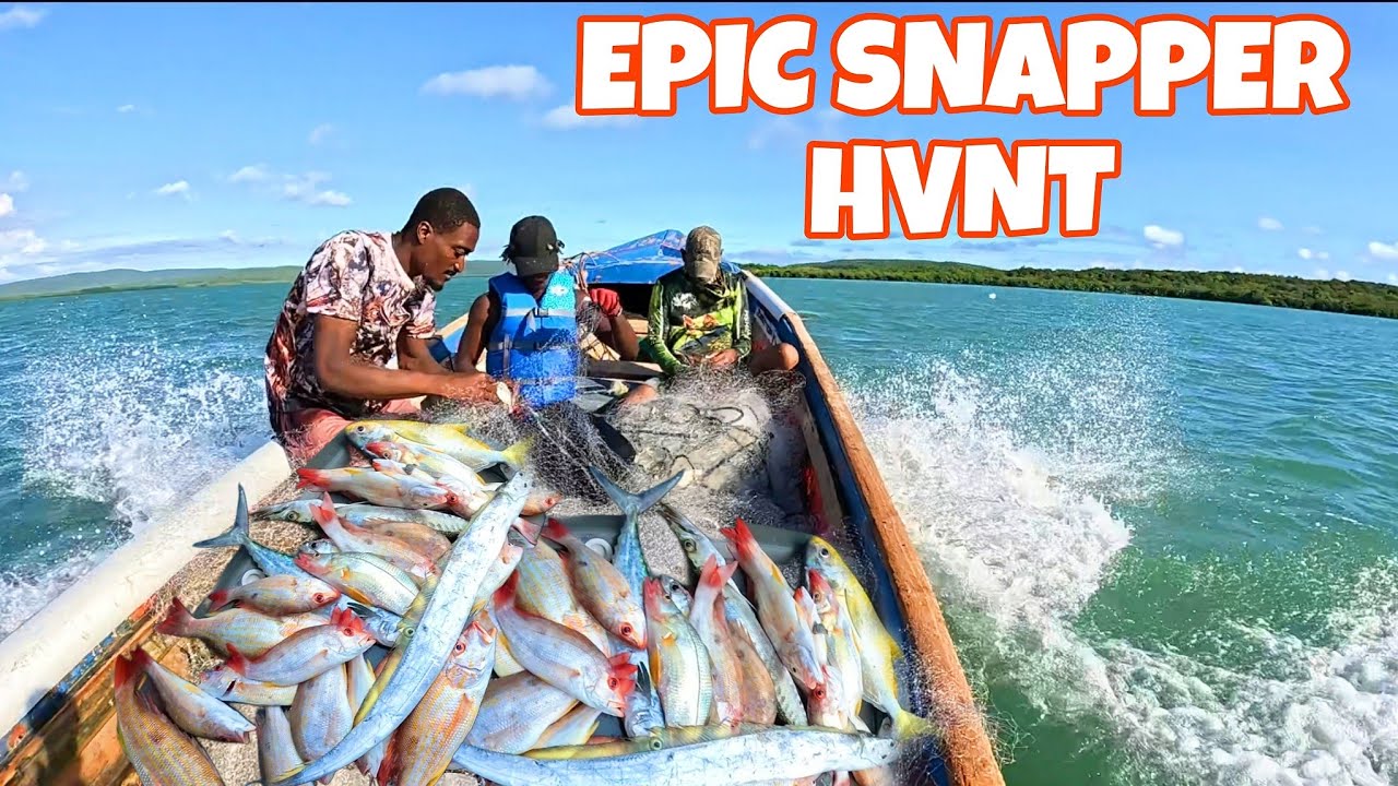 @Fowlwildlife RED SNAPPER CATCH, CLEAN & STEAM, EPIC FISHING#adventure #fishing