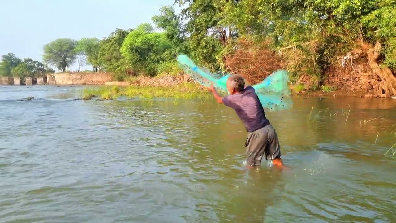 Daily net fishing in the local river | casting net fishing video | fishing video