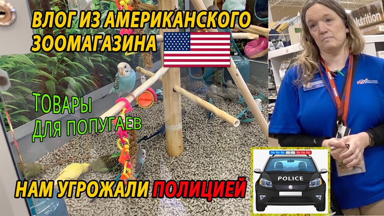 ВЛОГ ИЗ АМЕРИКАНСКОГО ЗООМАГАЗИНА | ПОПУГАЕВ НЕ КОРМЯТ И НЕ ДАЮТ ИМ ВОДУ | НАМ ПРИГРОЗИЛИ ПОЛИЦИЕЙ