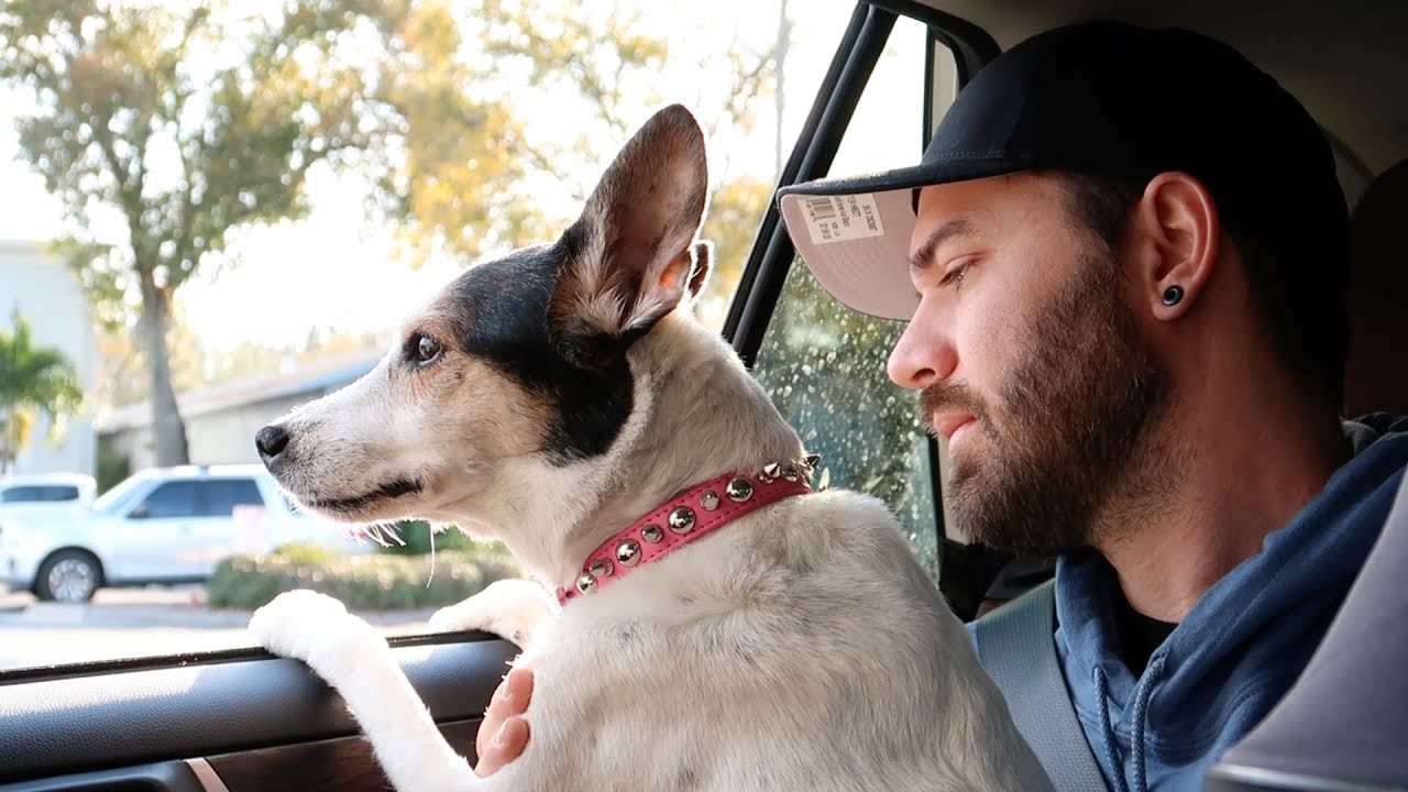 THE DAY OF MARLEY'S SURGERY!