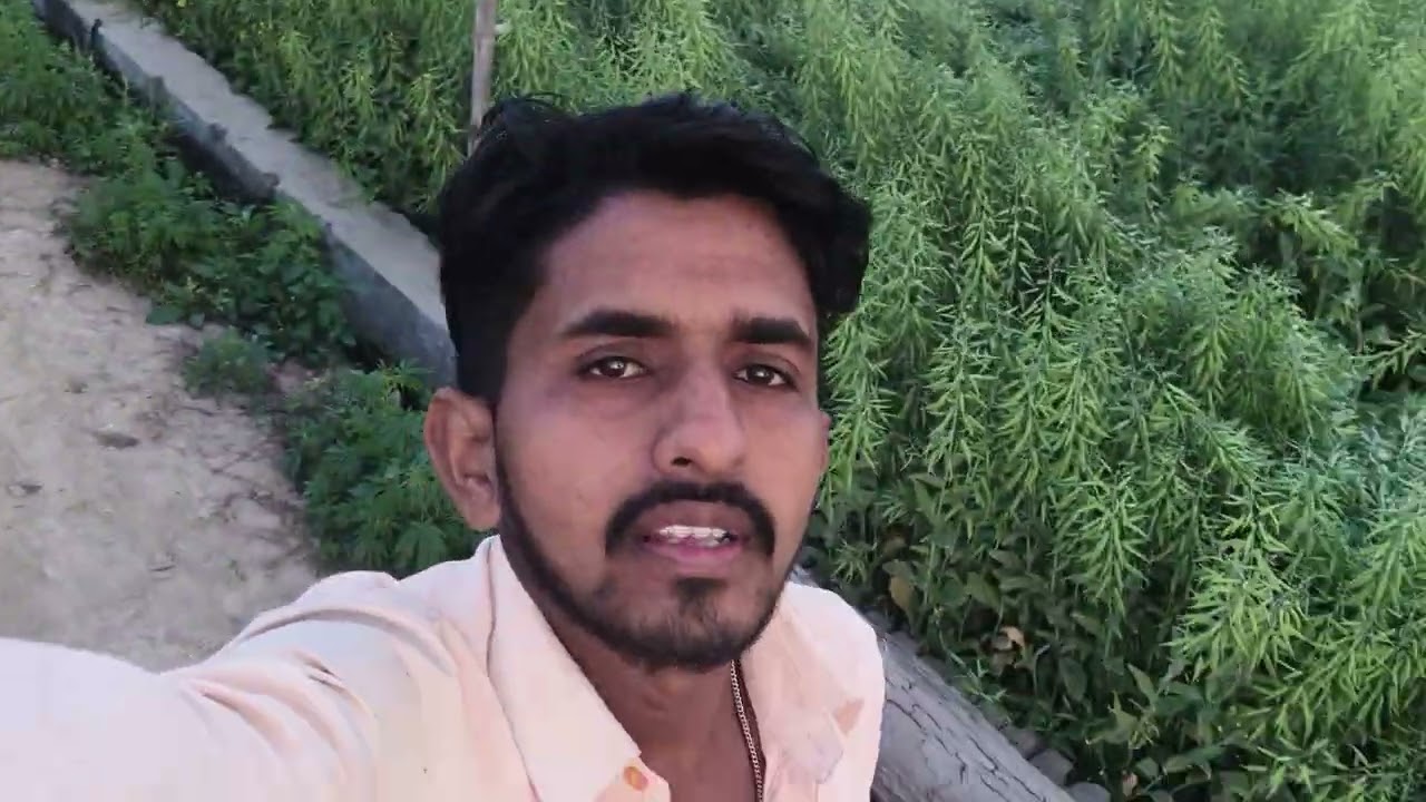 VloggervishalVA2028 # 1 $100000 1 subscriber please 🥺 Khajani #trending #vlog #viralvideo 