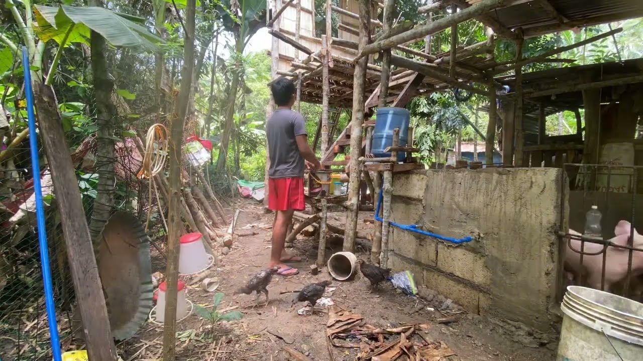 Galing fiesta sa kanila ni bro youngit, pag uwe sa bahay back to reality nanaman.