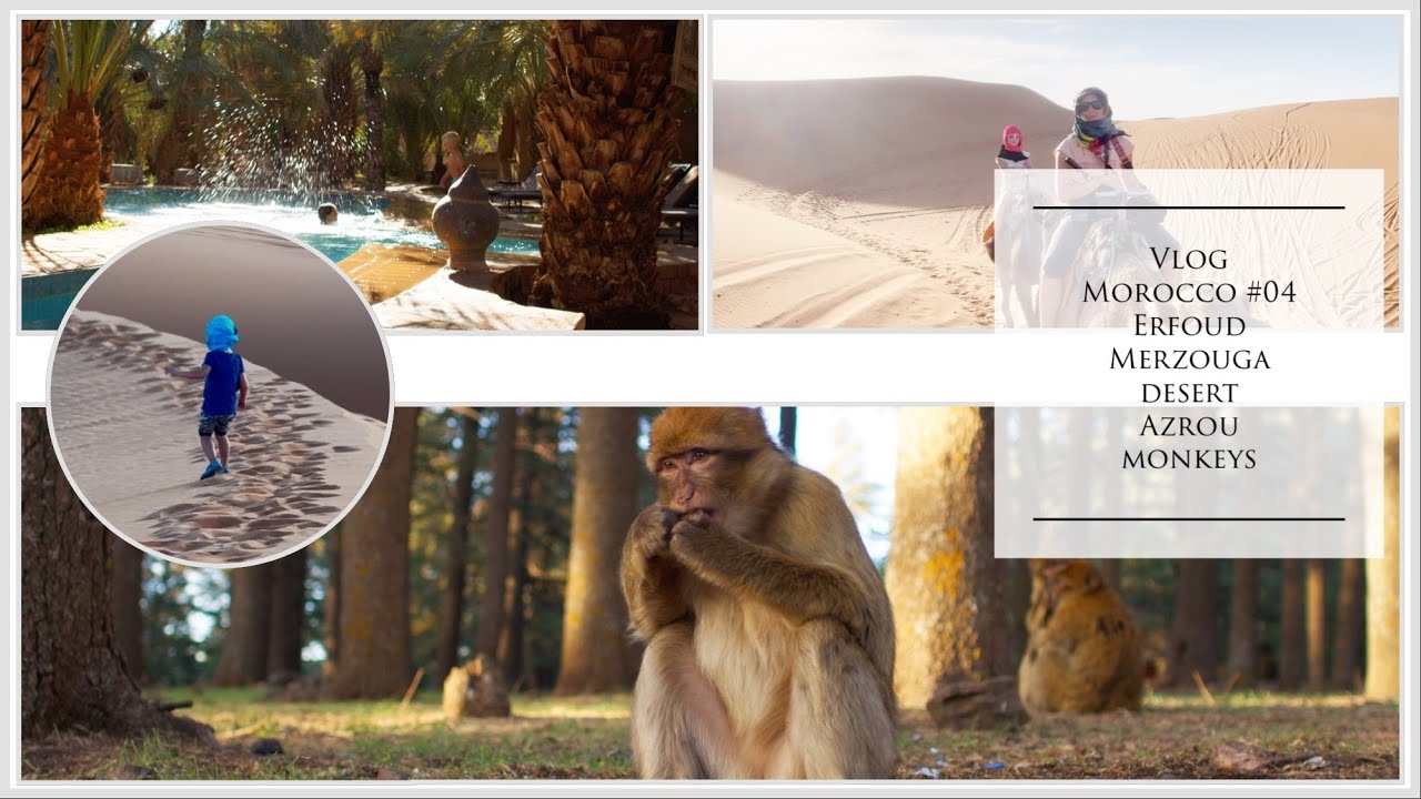 Vlog Morocco #04 Erfoud, Merzouga Desert, Azrou Monkeys