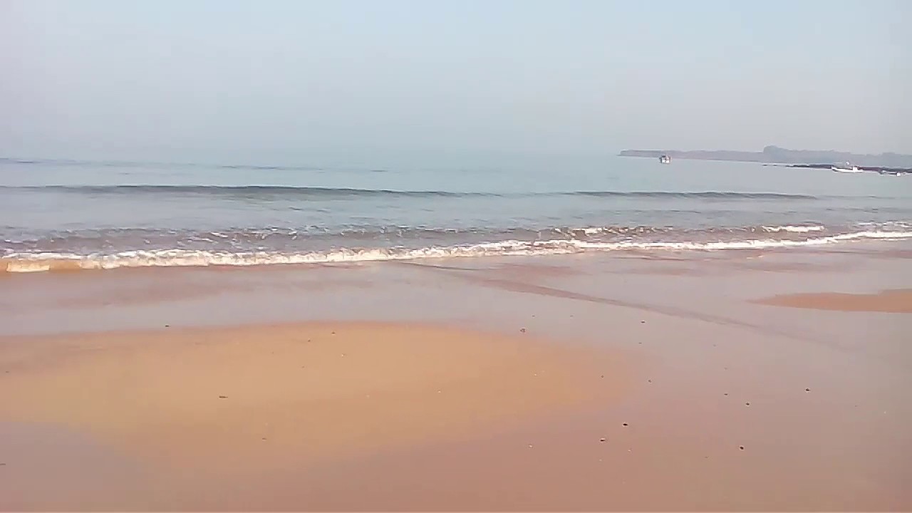 Kokan kinara