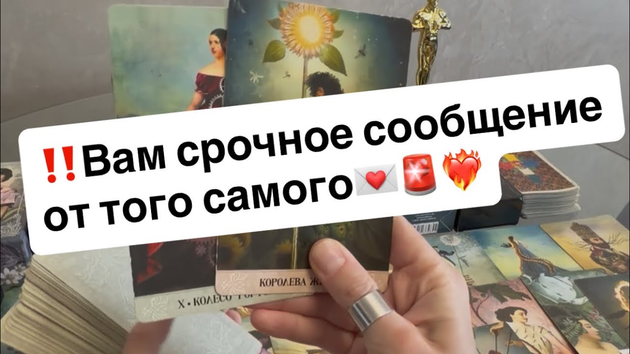 ‼️Вам срочное сообщение от того самого💌🚨❤️‍🔥