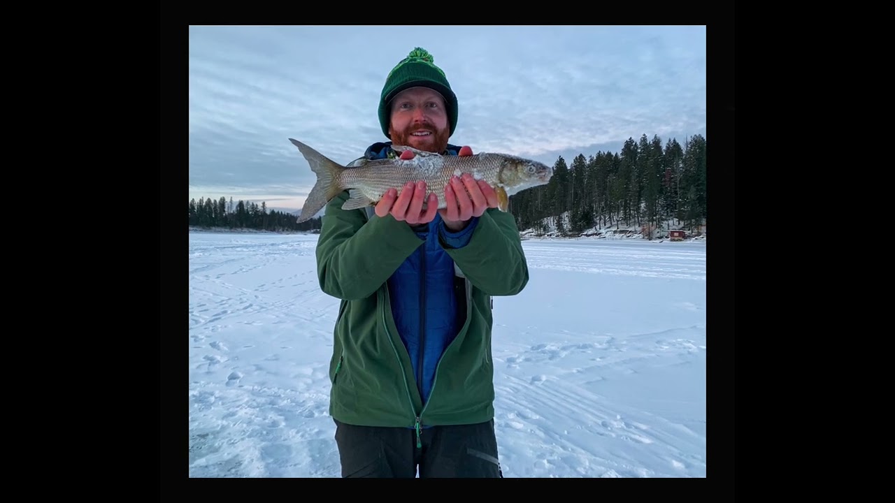 Ice Season is Coming! Fun Catches: Montana Ice Fishing Highlights (Book 2026!)