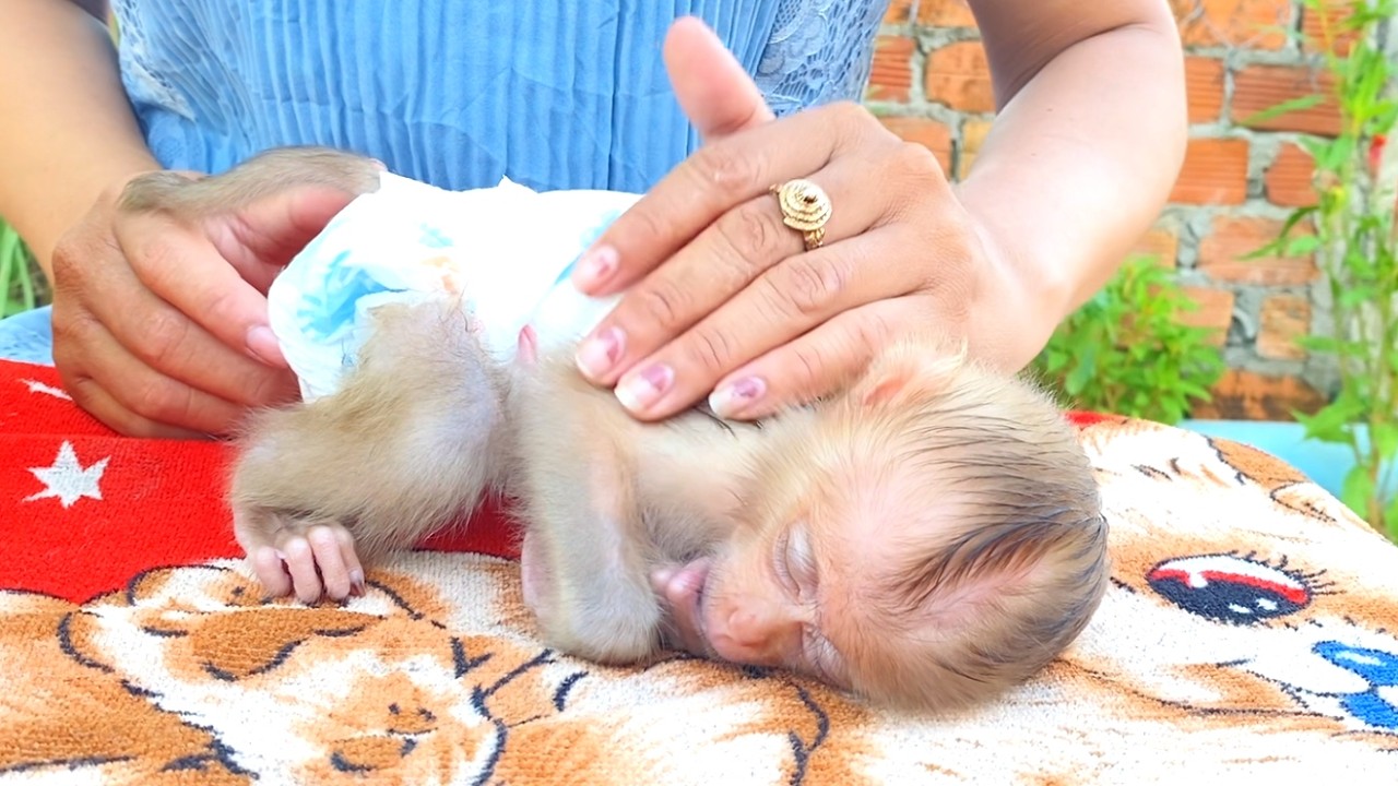 Wow!!The adorable baby LIORA fell asleep while her mom was putting on her diaper and comforting her