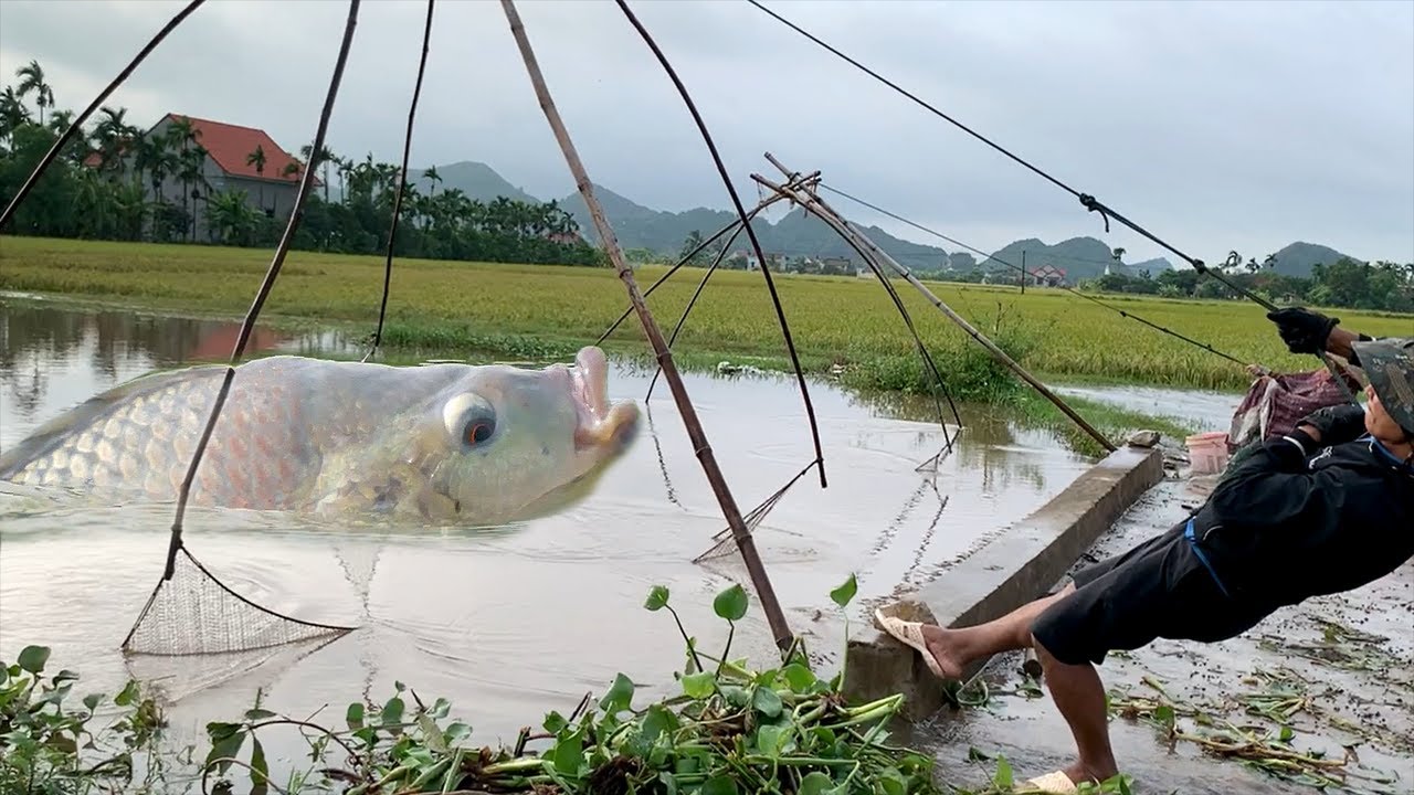 Kéo vó mùa lũ - kịch tính đến những pha cuối cùng