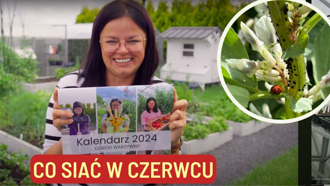 CO SIAĆ W CZERWCU