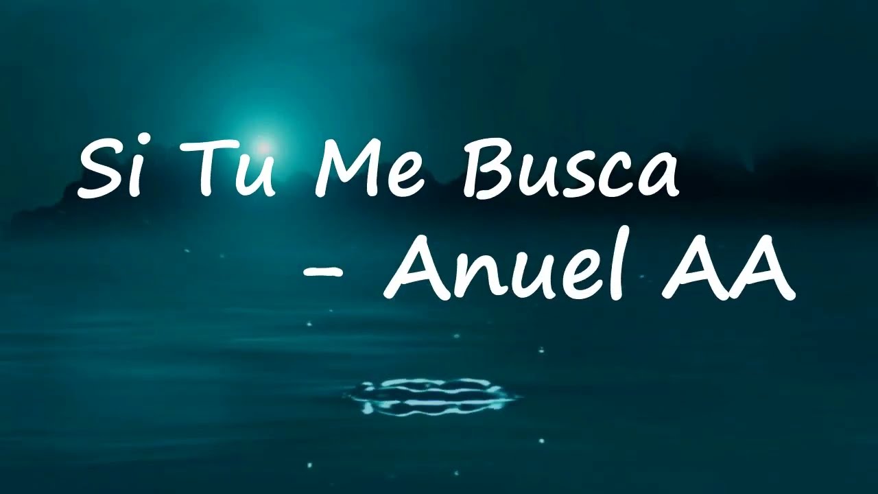 Anuel AA & Yailin la Mas Viral - Si Tu Me Busca (Lyrics)