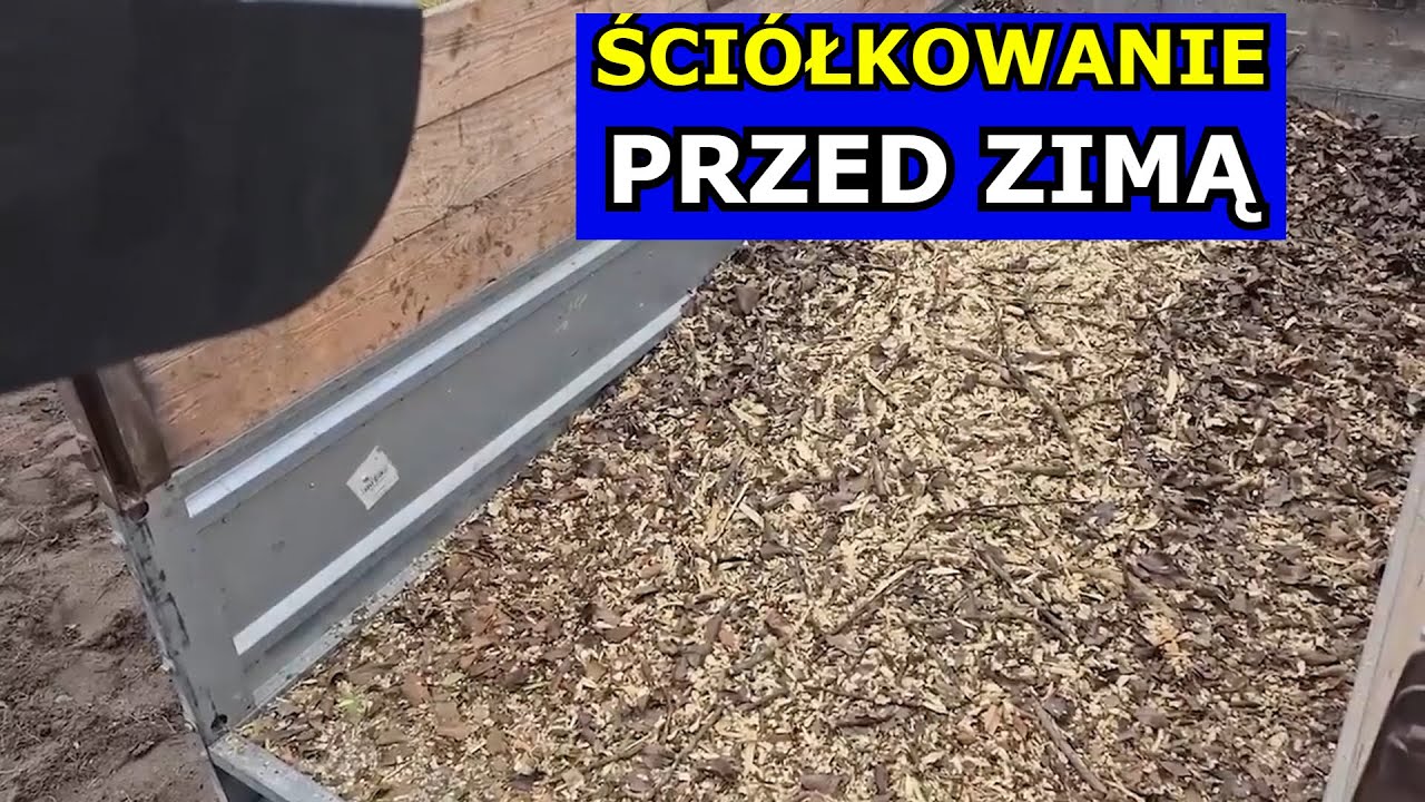 Kluczowe Ściółkowanie PRZED ZIMĄ. Jak Czym Ściółkować Rośliny Korą, Trawą, Zrębkami, Trocinami Słomą