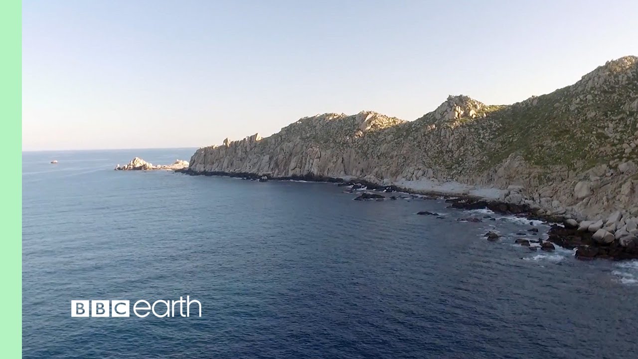 Stunning Coastlines in HD | Our Blue Planet | BBC Earth
