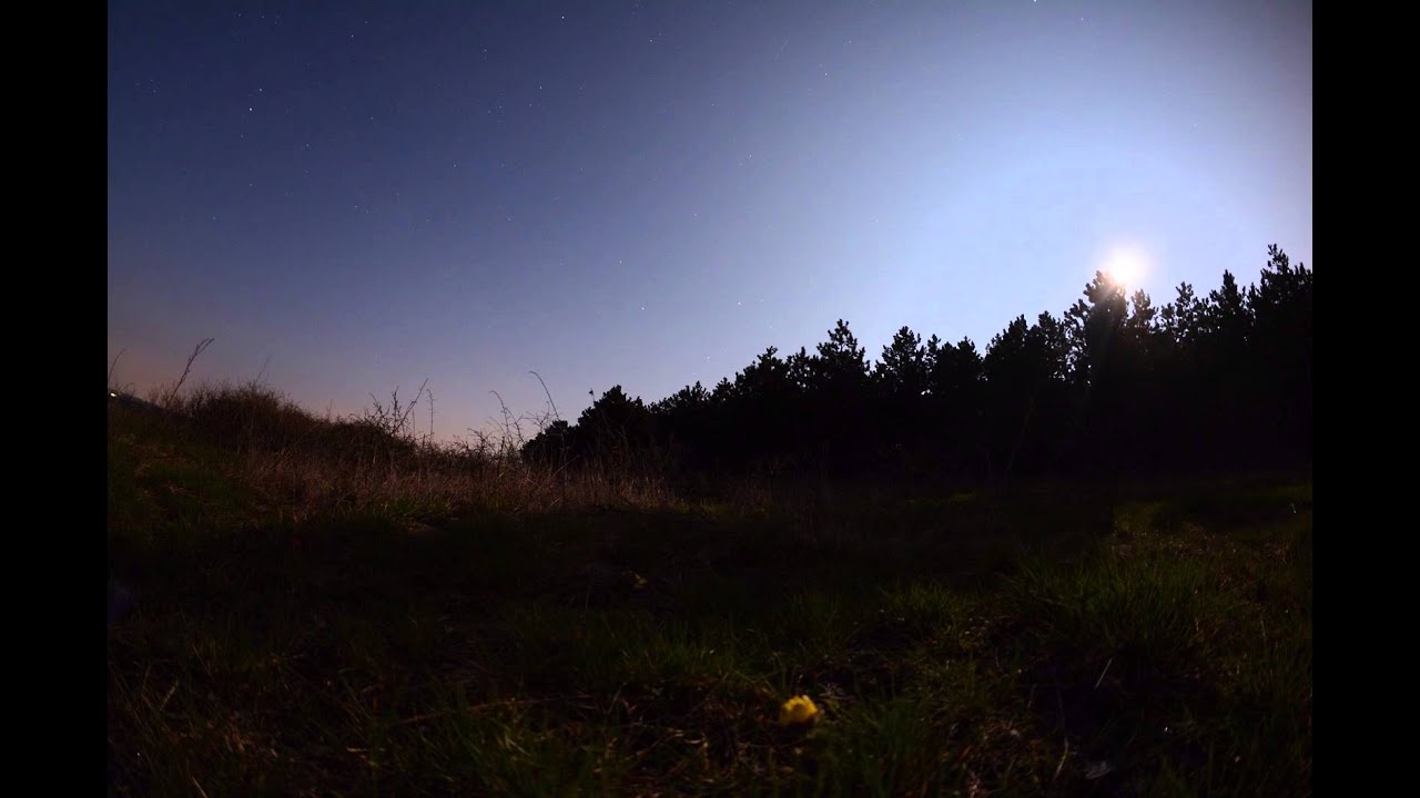 Early dawn stars with pheasant's eye (Adonis vernalis) in the foreground