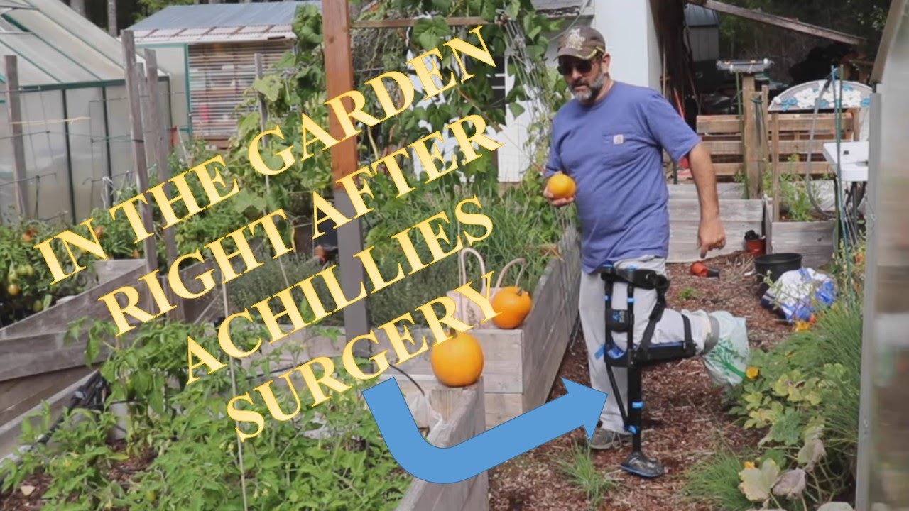 Using an iWALK 3.0 in the Garden