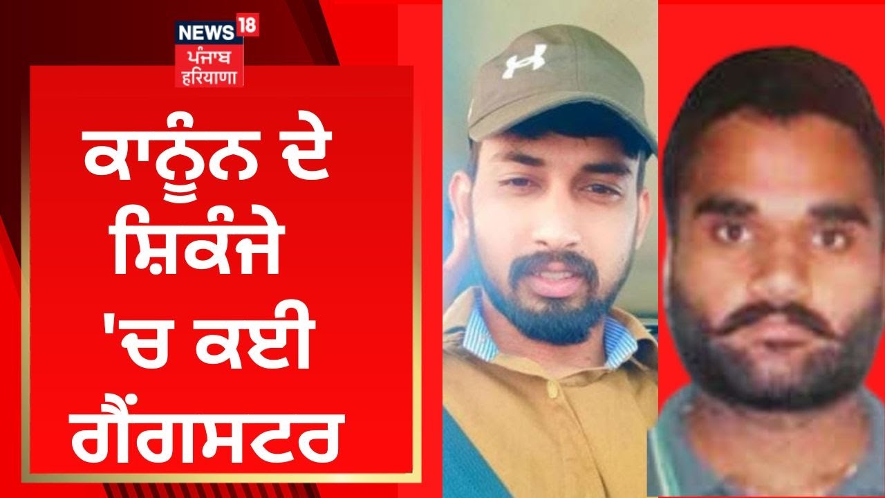 ਕਾਨੂੰਨ ਦੇ ਸ਼ਿਕੰਜੇ 'ਚ ਕਈ ਗੈਂਗਸਟਰ | Ankit Rana | Gangsters Arrested | News18 Punjab