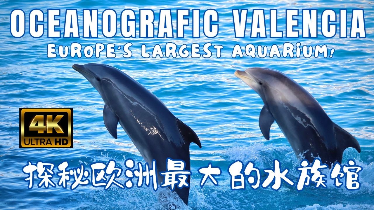 Oceanografic of Valencia | Europe's Largest Aquarium! | 探秘欧洲最大的水族馆 | 西班牙瓦伦西亚水族馆