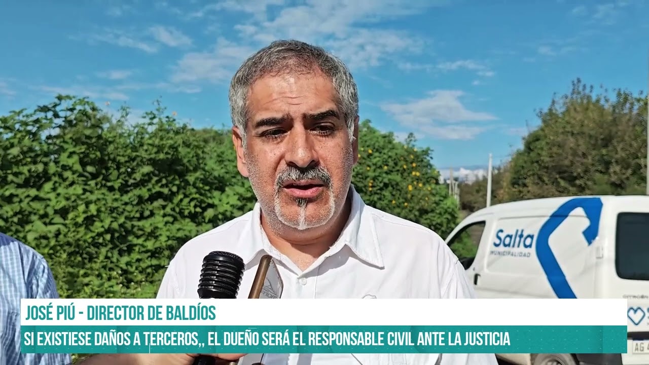 SALTA - El municipio insta a los dueños de baldíos a tenerlos en condiciones #canal7salta